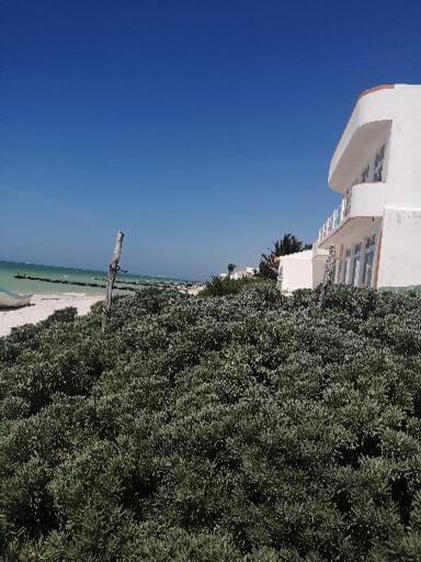 Apartamento 4 El Paraiso De Capitan Fernando Leilighet Chelem Eksteriør bilde